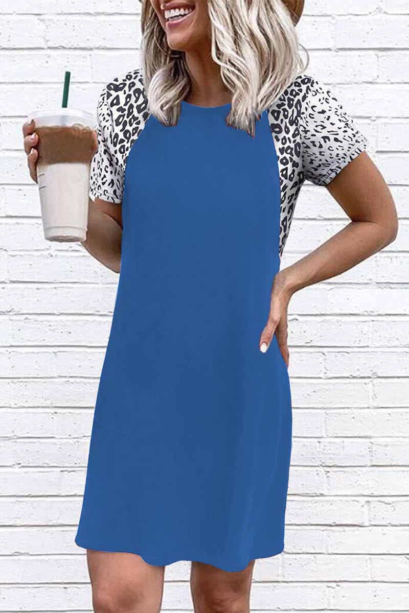 Print Raglan Sleeve Crew Neck Shift Mini Dress