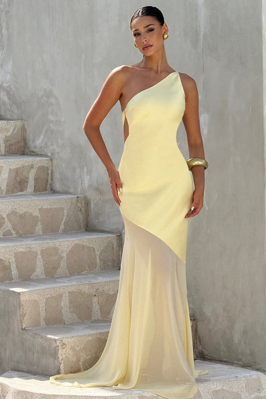 | One Shoulder Sleeveless Backless Mesh Maxi Dress