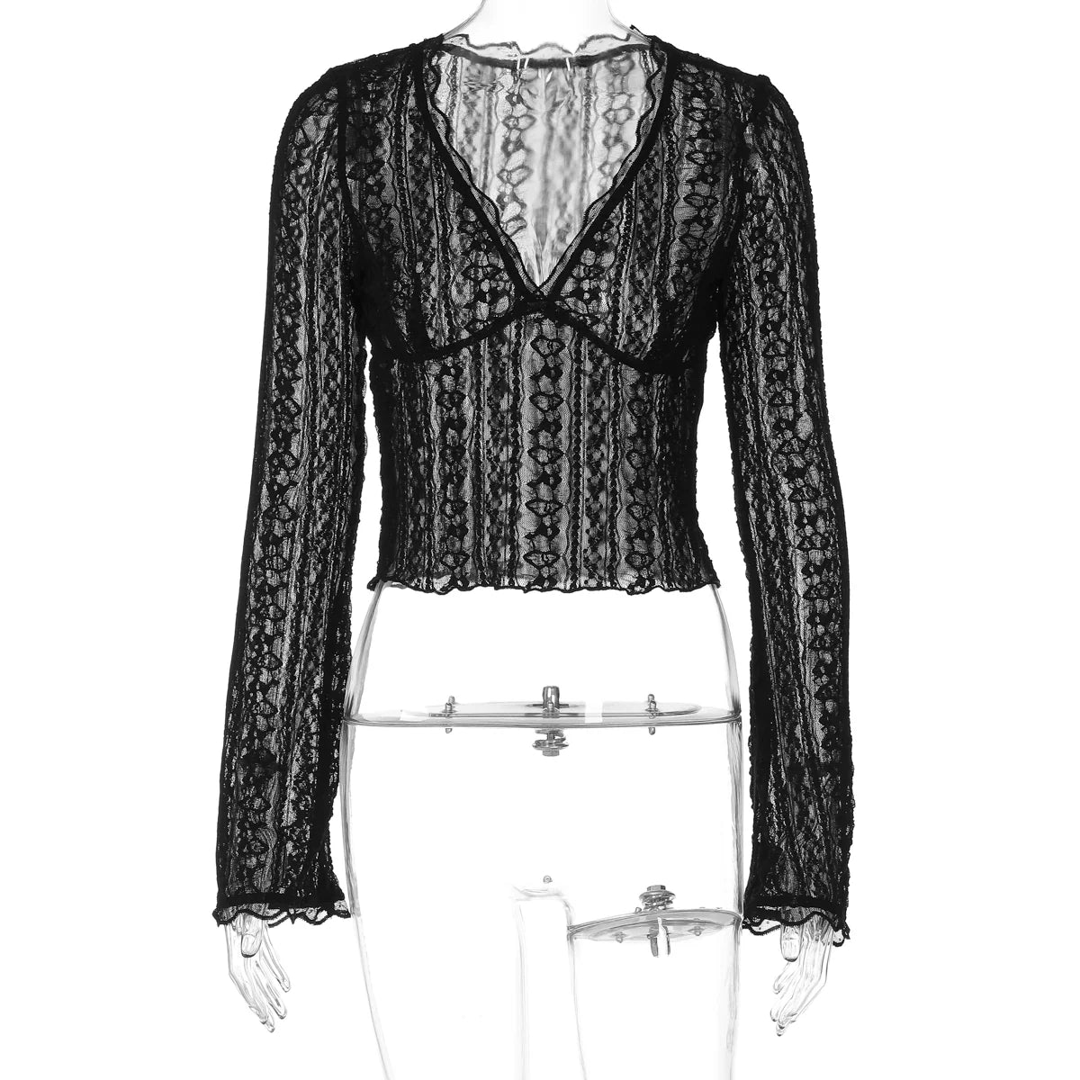 Kim Sheer Lace V-Neck Top