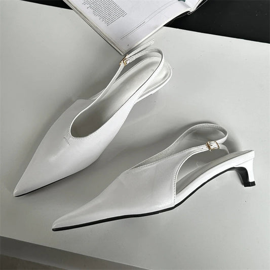 Pointed Toe Buckle Strap Pumps with Thin Low Heels for Women