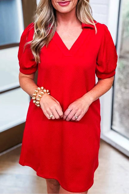 V-Neck Collar Puff Sleeve Textured Jacquard Shift Mini Dress