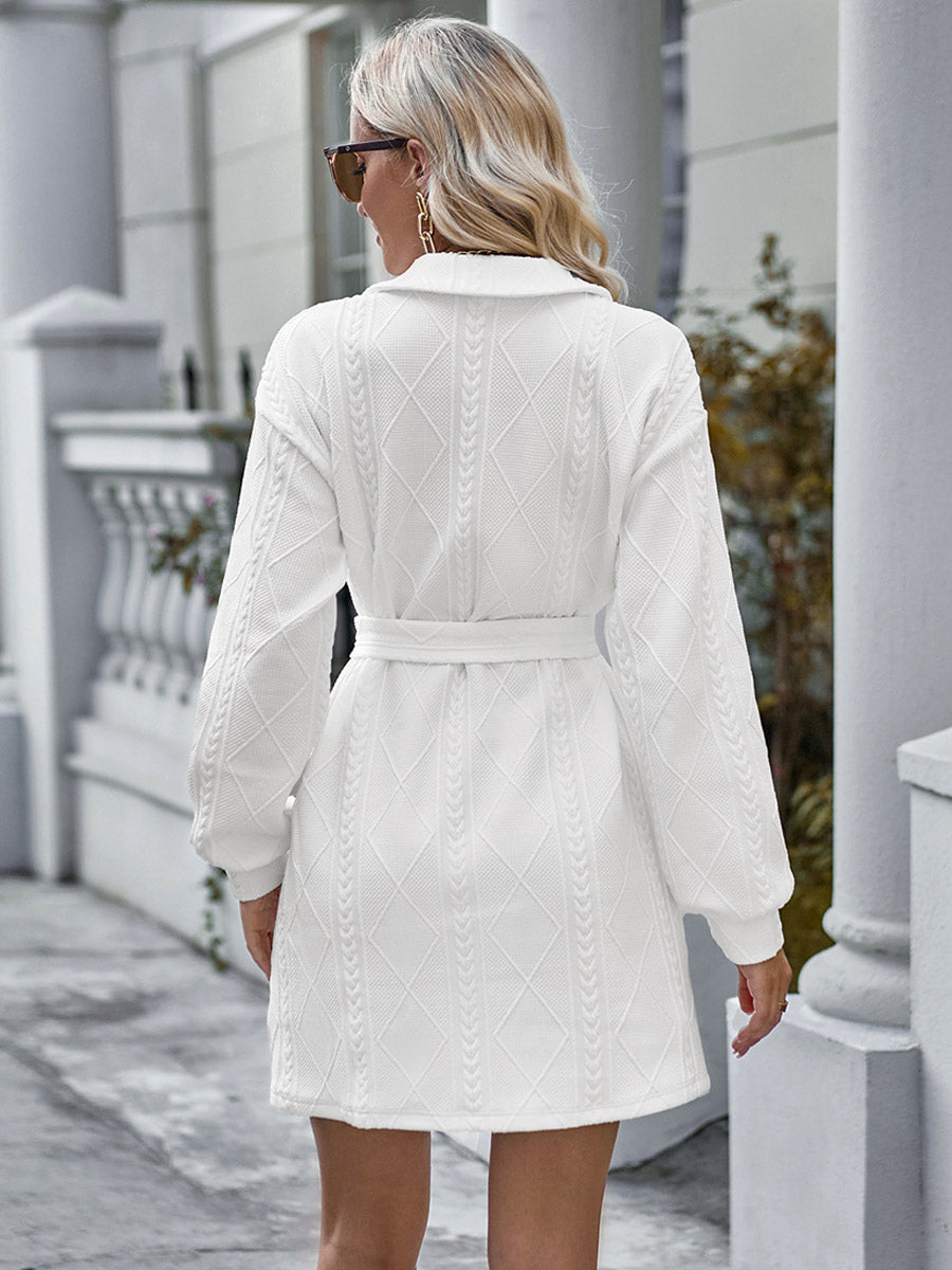 Belted Mini Dresses V-Neck Long Sleeves Solid Color Fall Spring Dress