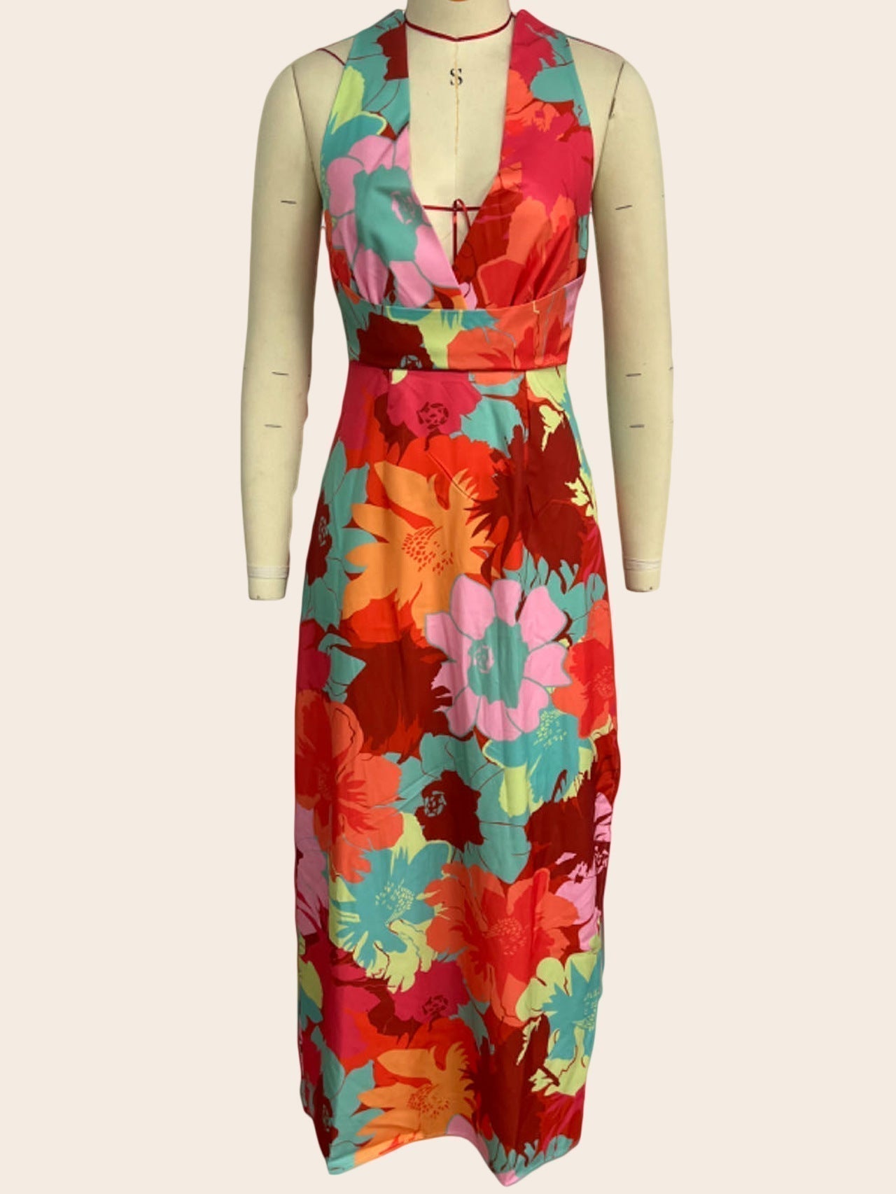 Halter Plunging V Neck Painterly Floral Maxi Dress