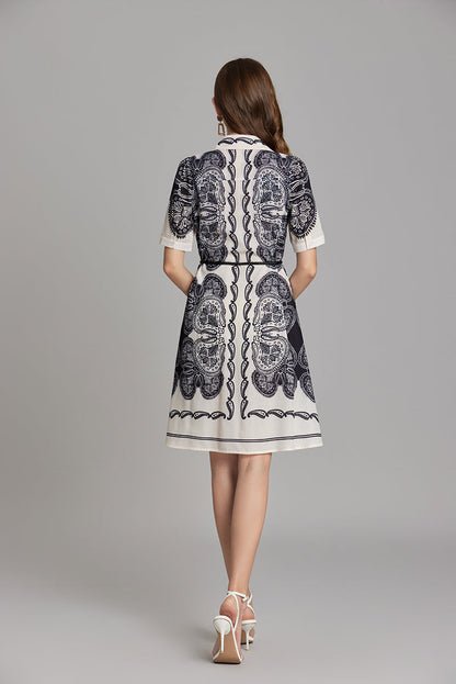 Printed Button A Line Shirt Dress