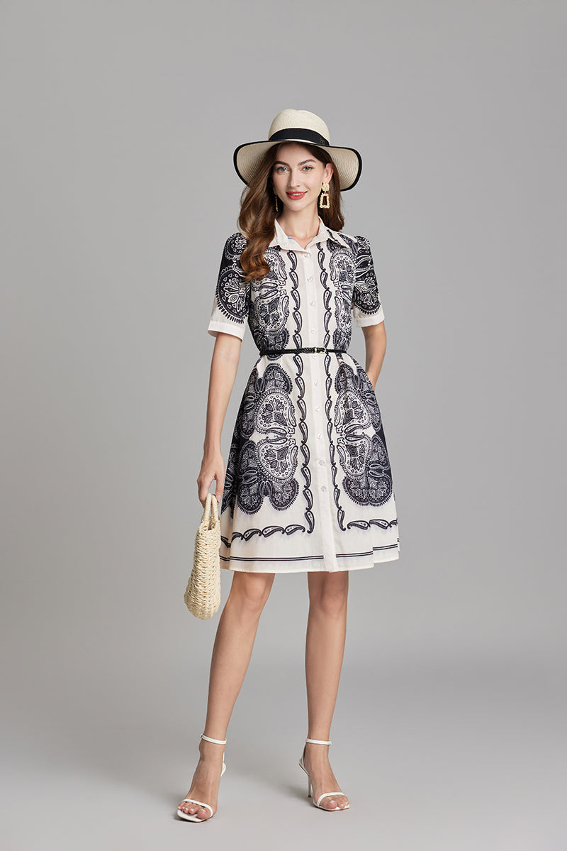 Printed Button A Line Shirt Dress