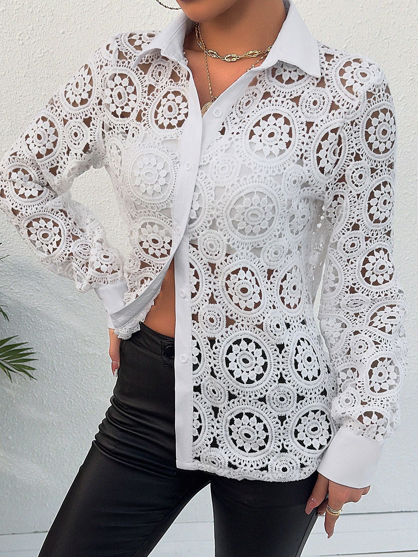 Long-sleeved Lace V-neck Sheer Top