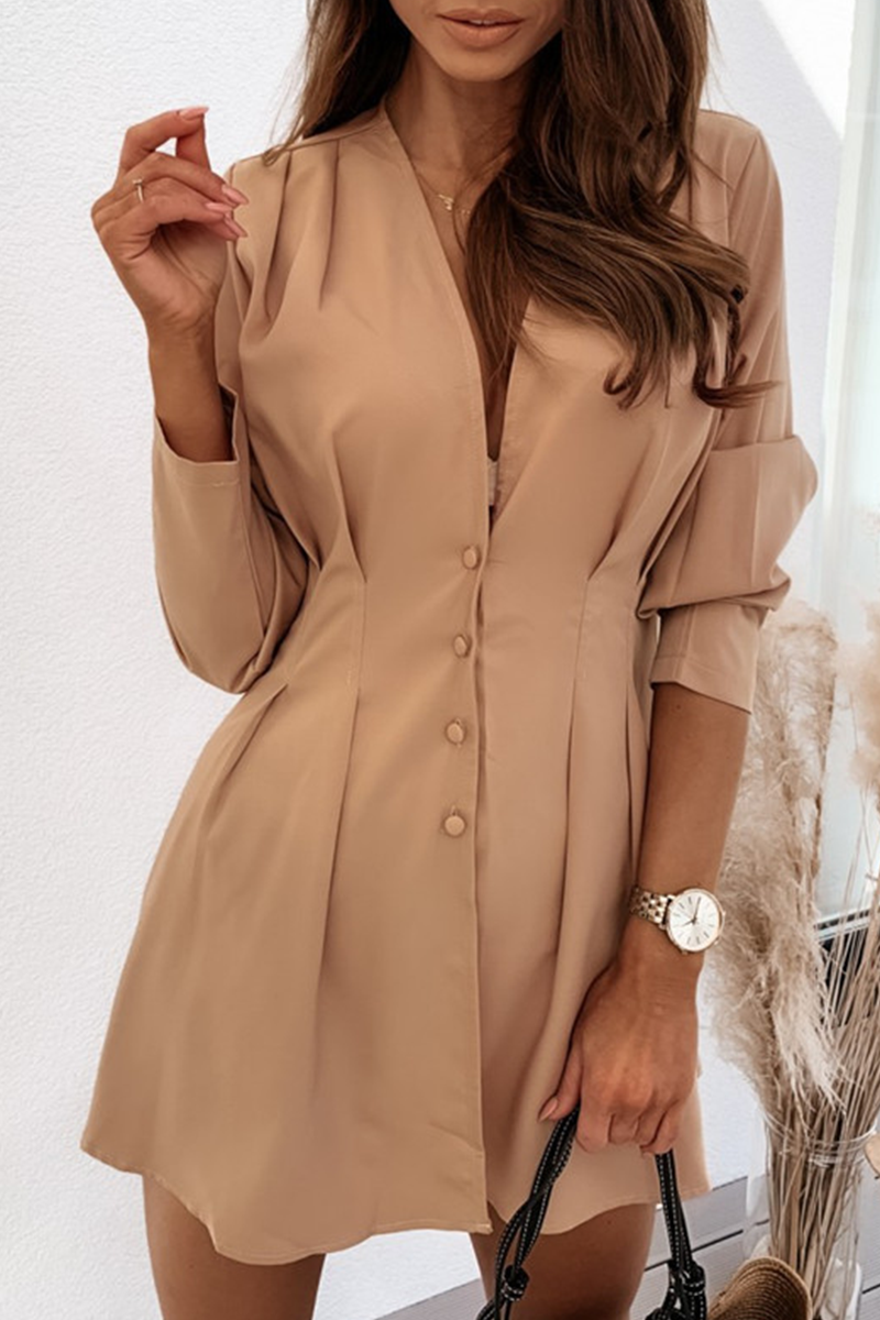 V-Neck Button-Front Pleated Waist Long Sleeve Fit and Flare Mini Dress