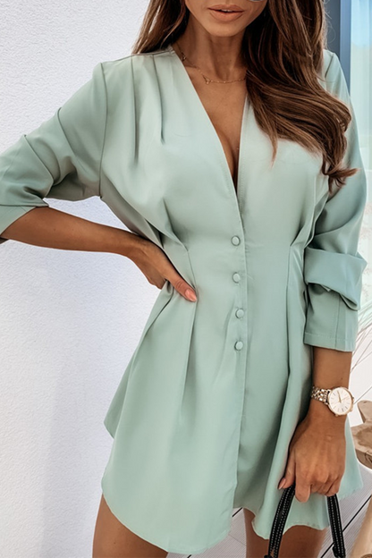V-Neck Button-Front Pleated Waist Long Sleeve Fit and Flare Mini Dress
