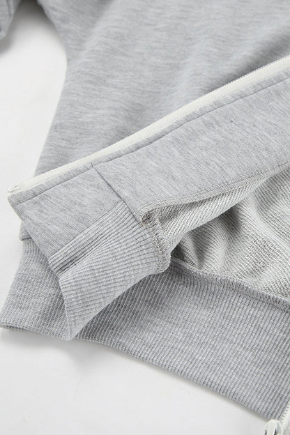 Casual Sportswear Solid Color Zipper Hooded Long Sleeve Two Pieces