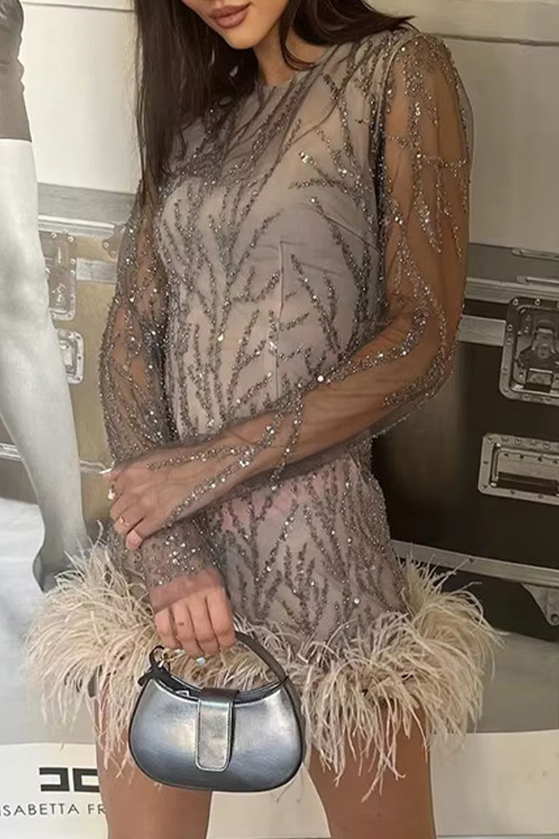Mesh Sequin Embroidery Crew Neck Long Sleeve Feather Hem Mini Cocktail Dress