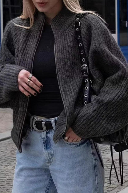 Minimalist Solid Color Double Zipper Stand Collar Sweater