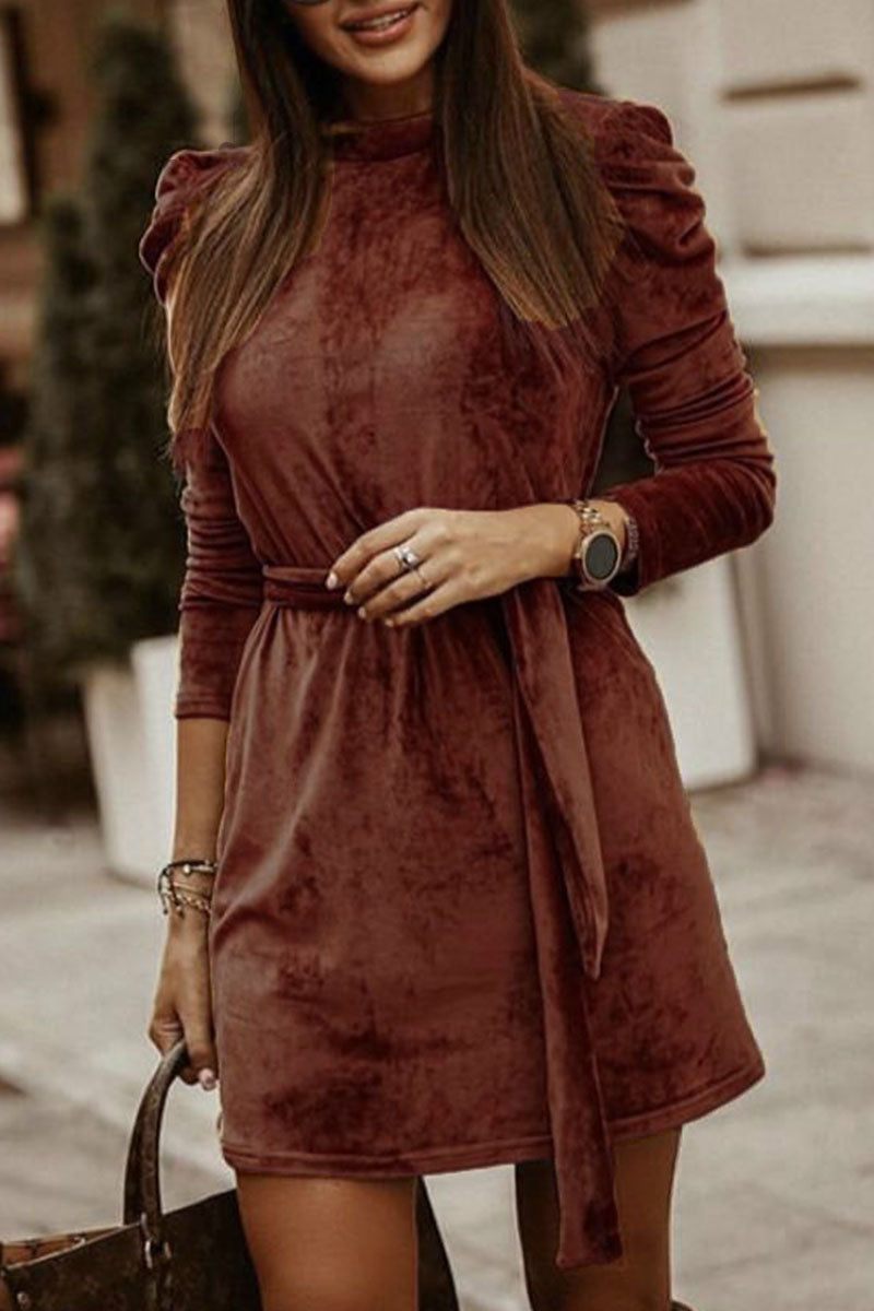 Velvet Puff Shoulder Tie-Waist Long Sleeve Mini Dress