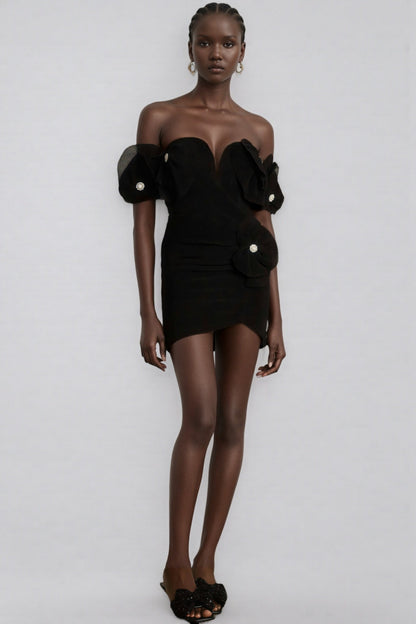 Cassia Black Floral Embroidered Mini Dress