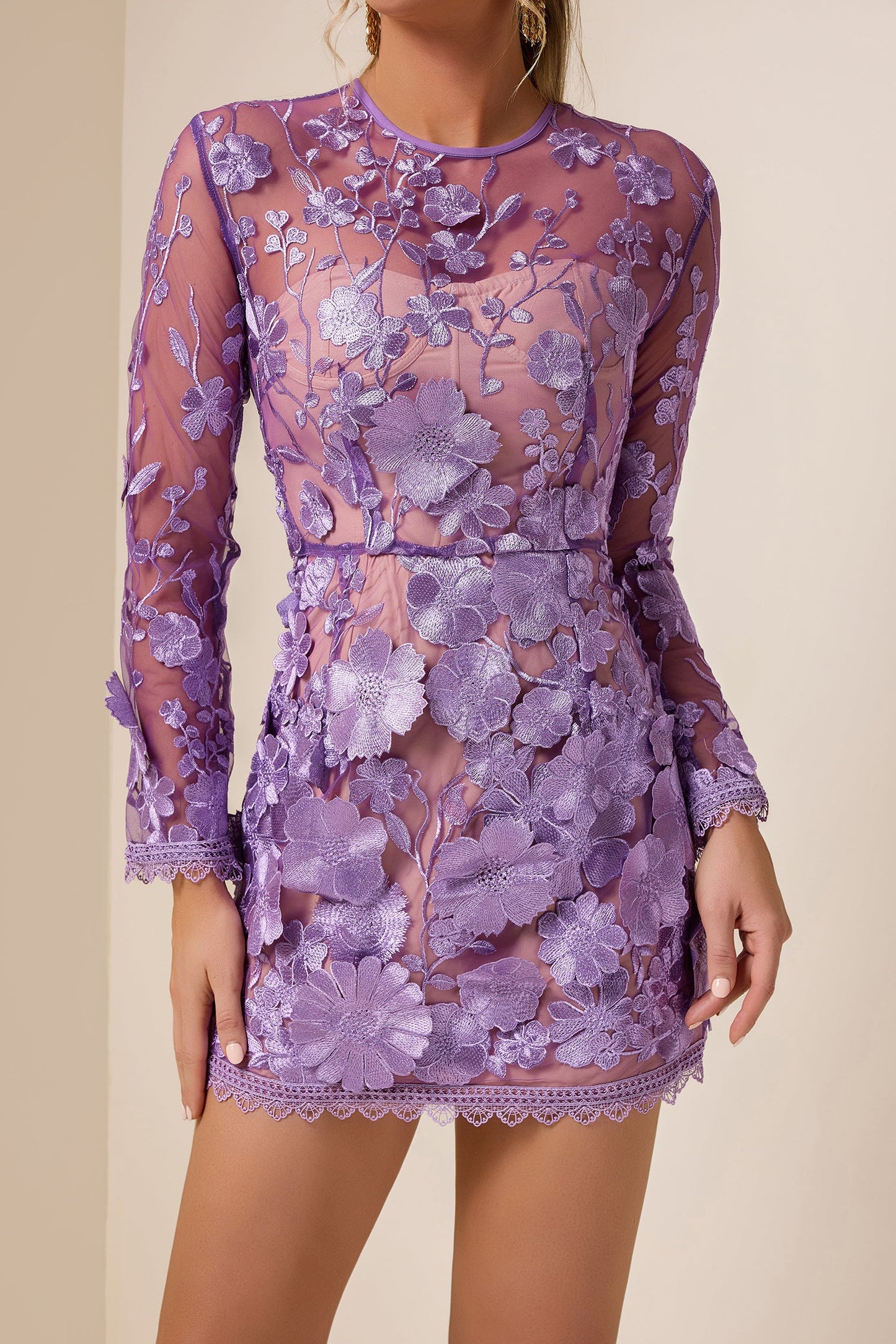 Embroidered Long Sleeve Round Neck Mini Dress