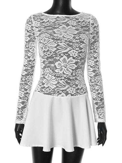 Lace Overlay A-line Dress Sheer Long Sleeve Mini Party Dress For Women 2026