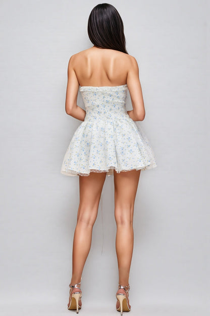 Alison Floral Print Corset Mini Dress