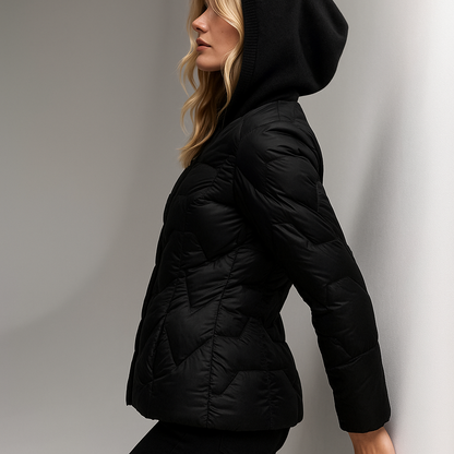 | Hooded Jacket
