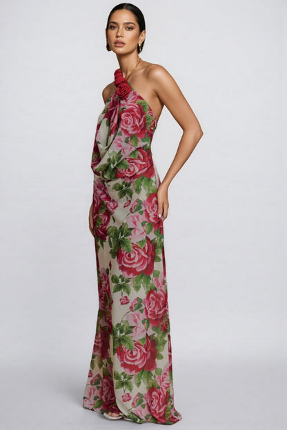 Ysraela Cowl Neck 3D Floral Maxi Dress