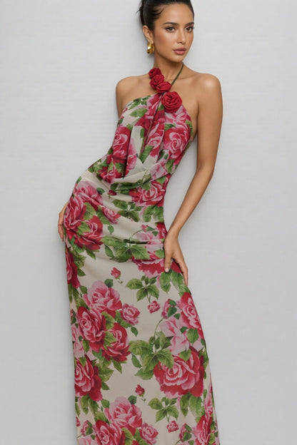 Ysraela Cowl Neck 3D Floral Maxi Dress