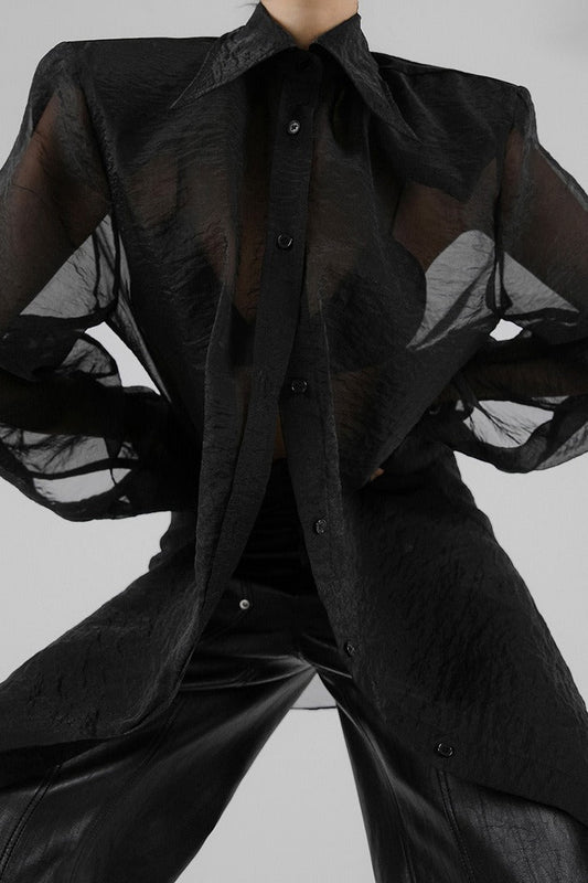 Elegant Sheer Long Sleeve Blouse