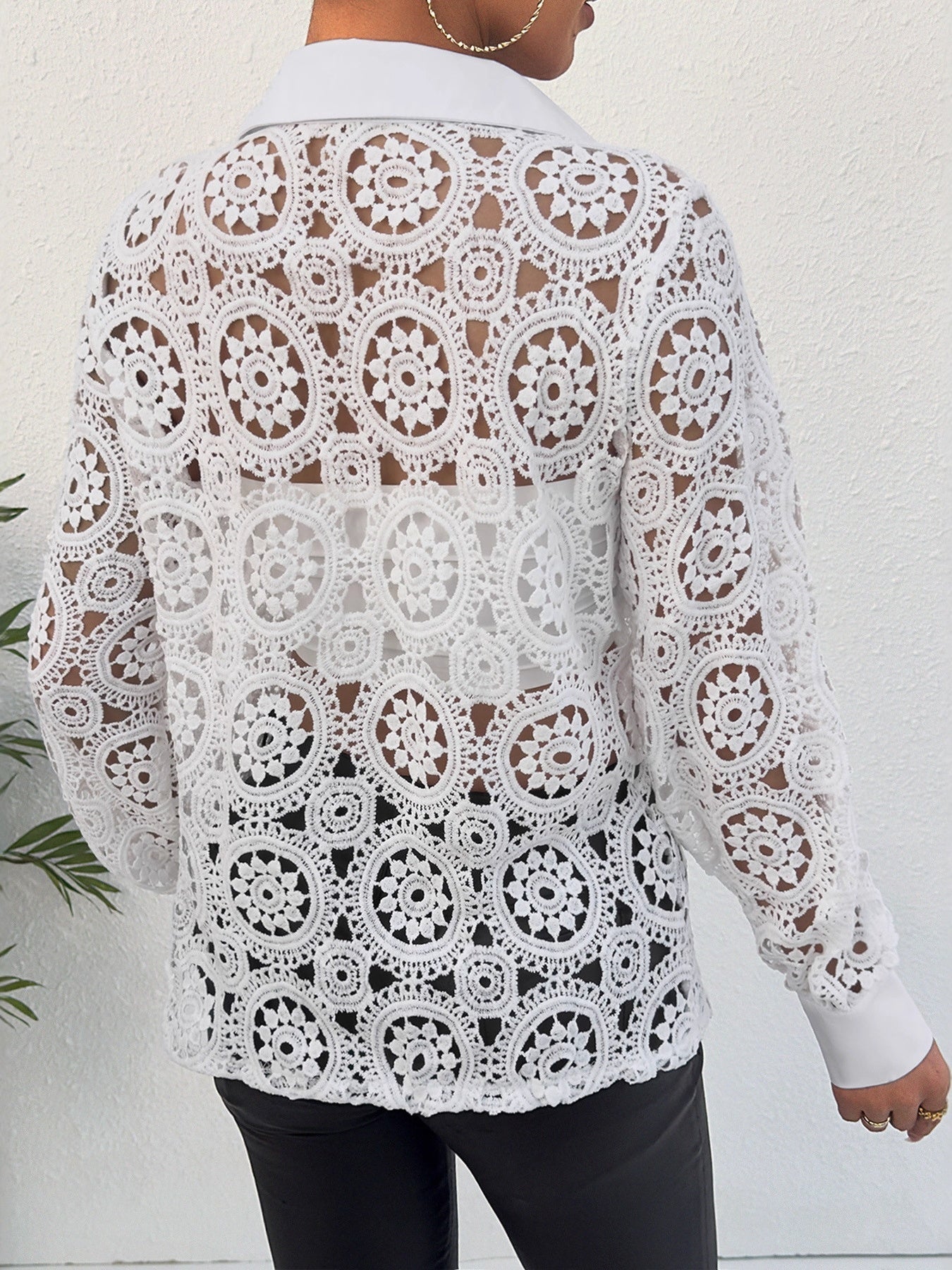 Long-sleeved Lace V-neck Sheer Top