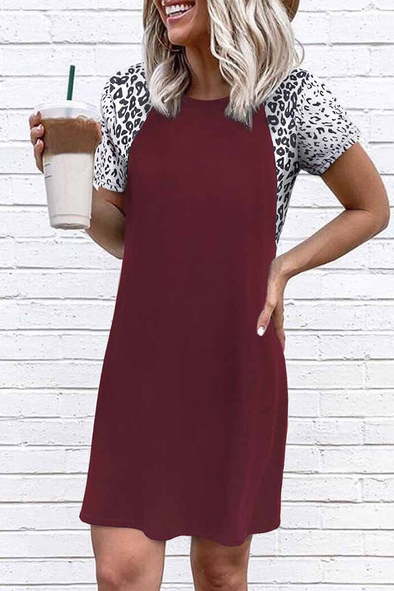 Print Raglan Sleeve Crew Neck Shift Mini Dress