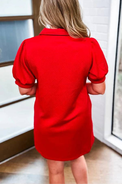 V-Neck Collar Puff Sleeve Textured Jacquard Shift Mini Dress