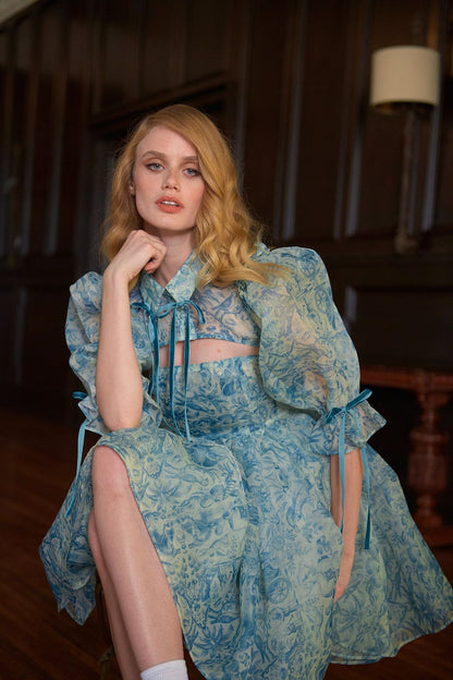 Floral Puff Sleeve Lace Up Doll Collar Mini Dress