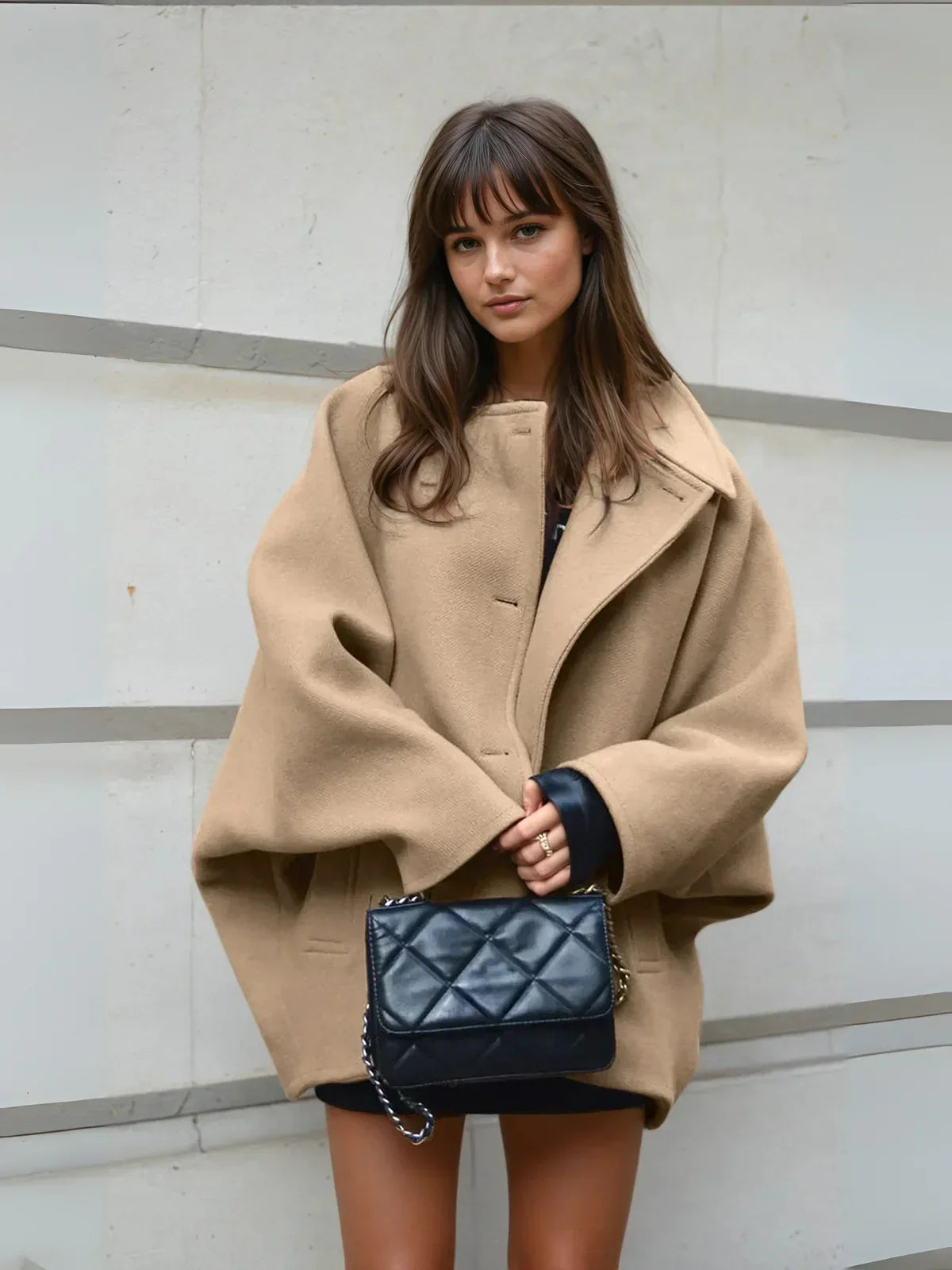Elegant Winter Look - 2