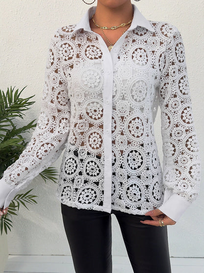 Long-sleeved Lace V-neck Sheer Top