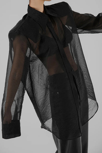 Retro Sheer Loose Long-sleeved Casual Shirt