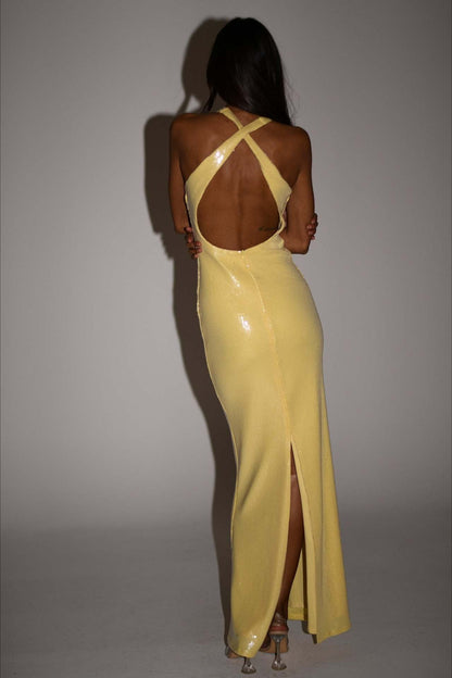 | Backless Floral Sequin Maxi Dress