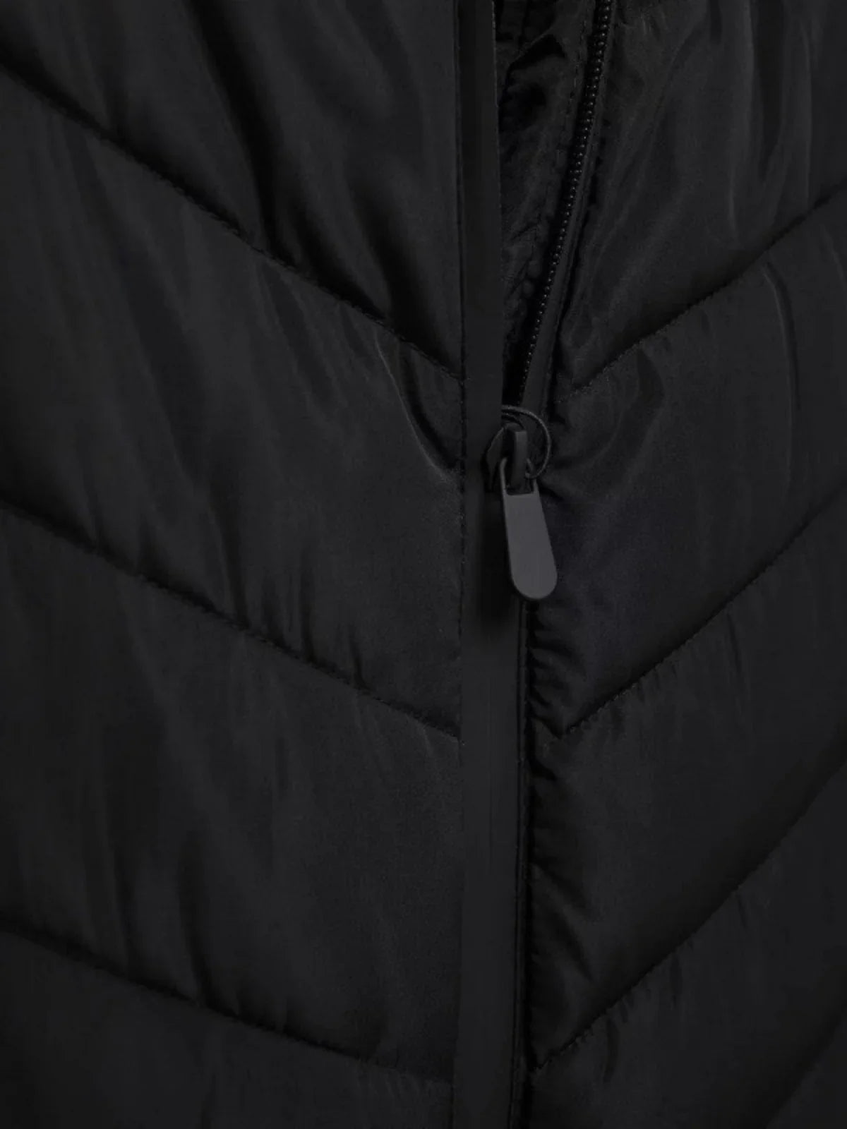 Cotton Padded Coat With Stand Up Collar For Casual Wear