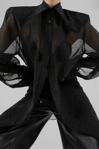 Mesh Sheer Long-Sleeve Loose Chic Blouse