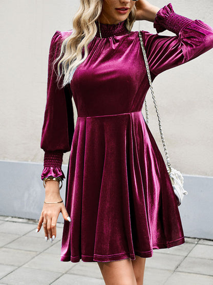 Velvet Dress Burgundy High Collar Long Sleeves Fall Mini Dresses