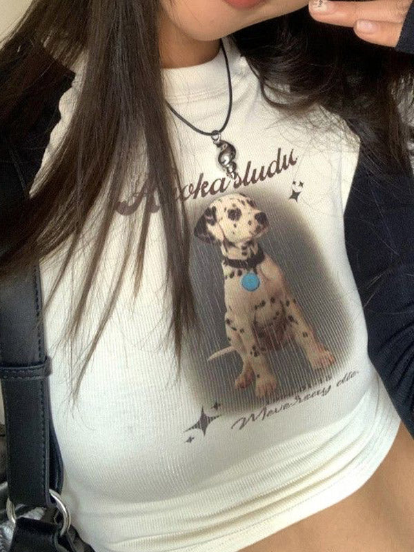 Raglan Puppy Print Slim Crop Long Sleeve Knit