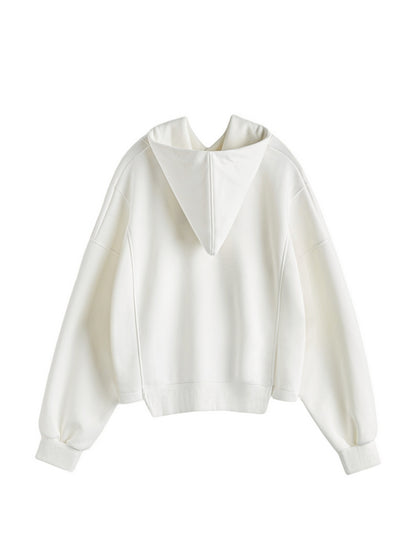 Letter Embroidery Drawstring Oversized Hoodie