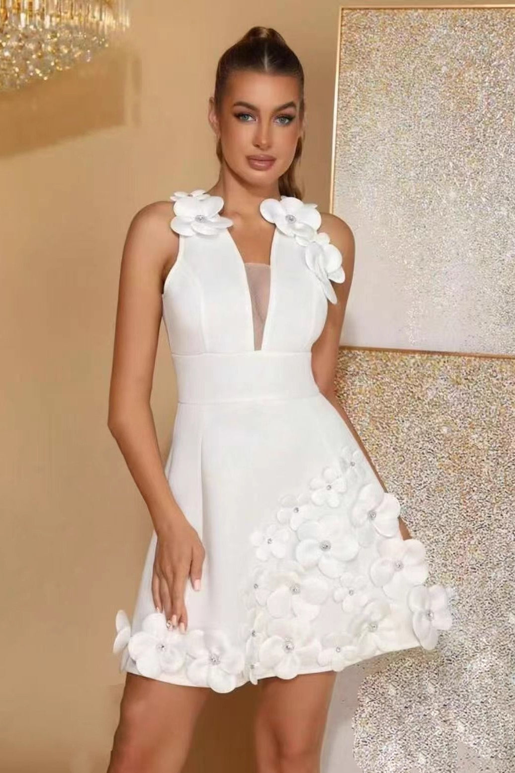 3D Floral Applique Deep V-Neck Mesh Panel Belted A-Line Mini Dress