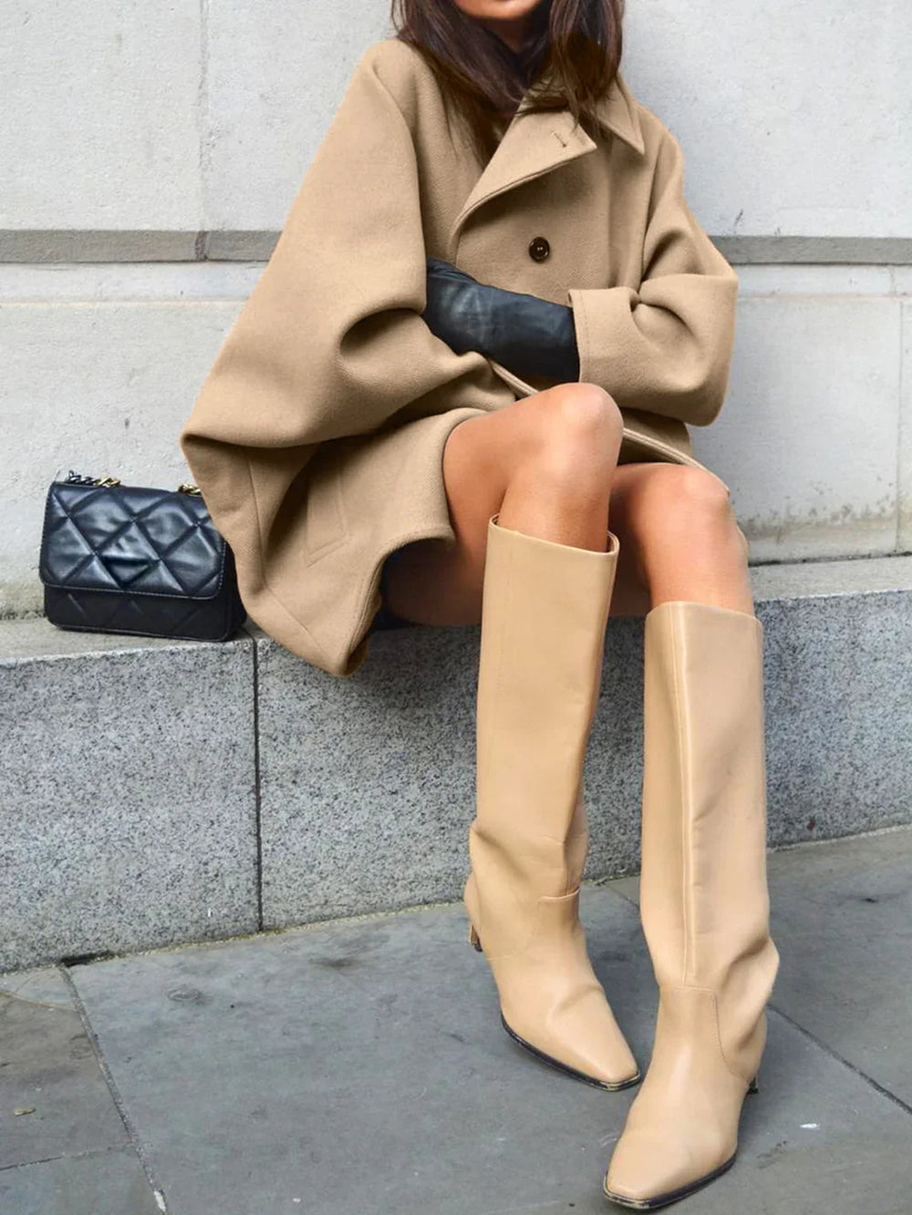Elegant Winter Look - 2