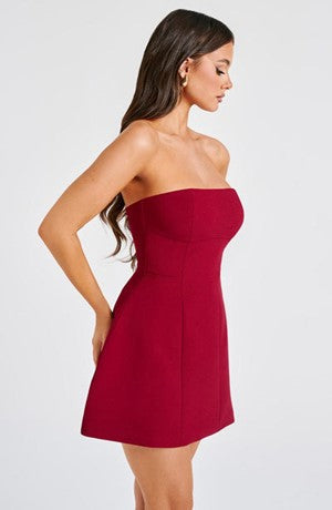 Strapless Princess Seam Structured Fit and Flare Bandeau Mini Dress