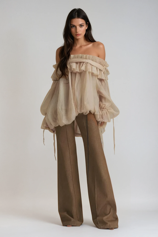 Aneirin Off Shoulder Mesh Ruffle Top