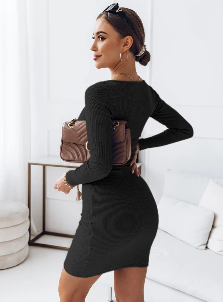 Mini Dresses Rose Long Sleeves Short Dress