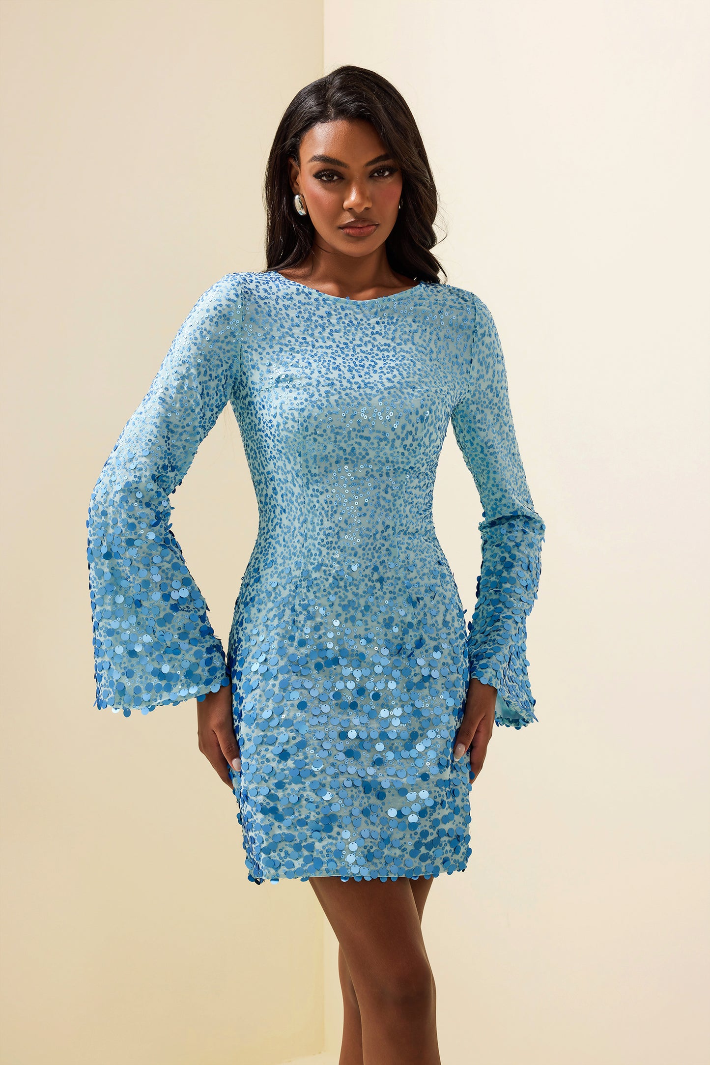 Sequin Round Neck Long Sleeve Mini Dress