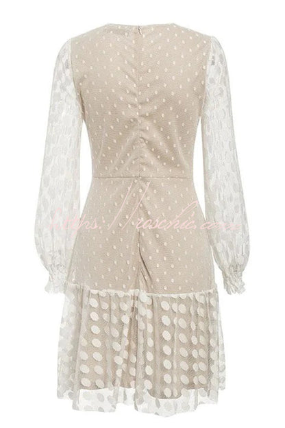 Emerton Polka Dot Lace Sheer Mesh Party Dress