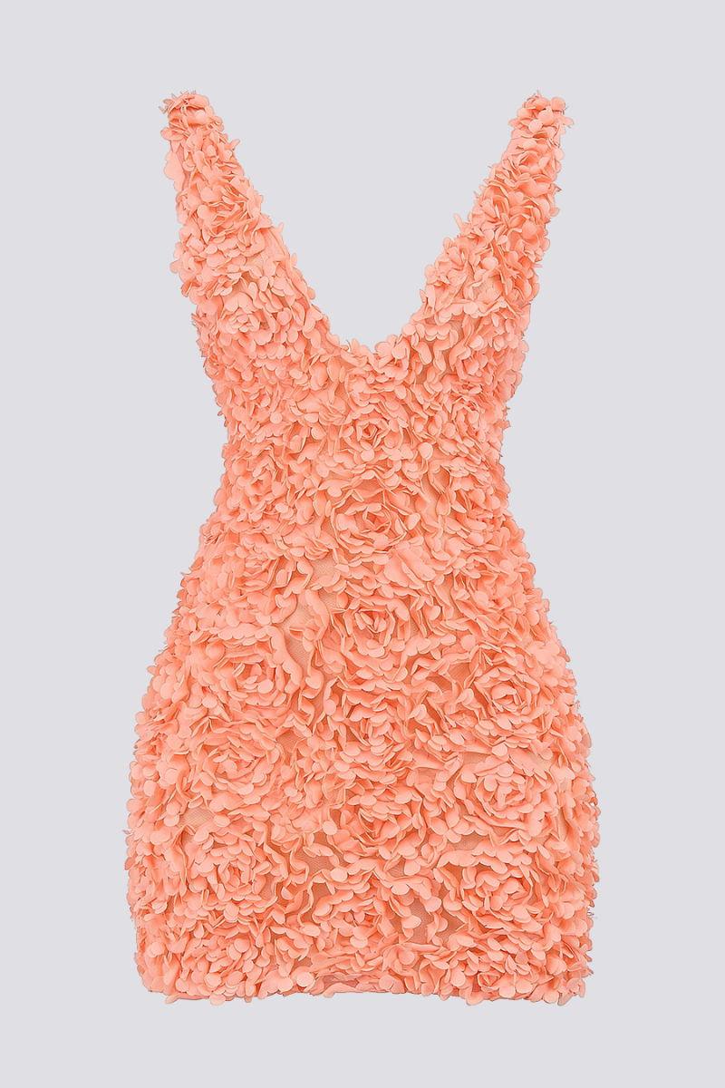Plunge V-Neck 3D Floral Applique Mini Dress