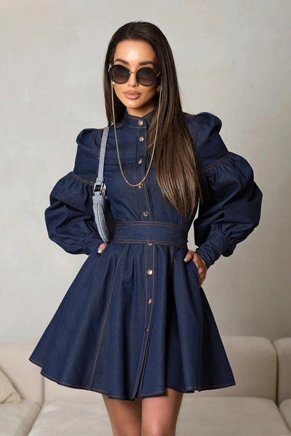 Mandarin Collar Puff Sleeve Button Front Denim Fit and Flare Mini Dress
