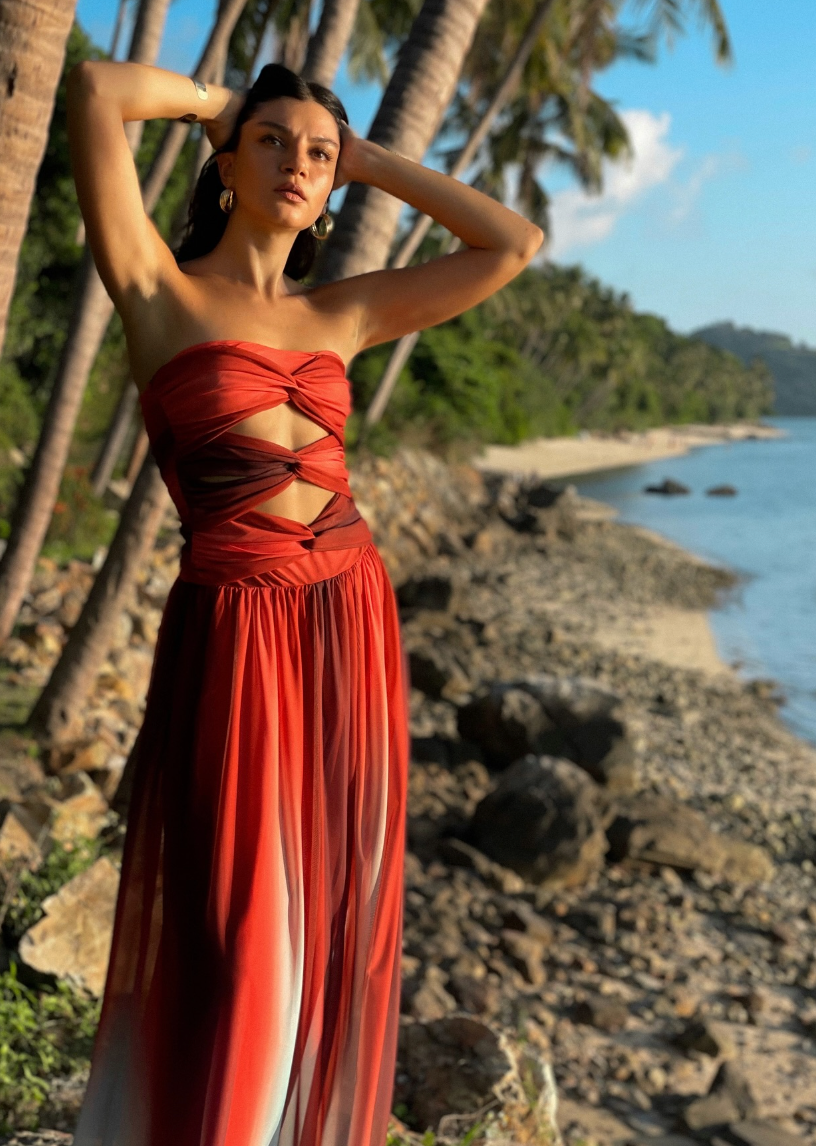 | Ombre Mesh Cut-Out Midi Dress