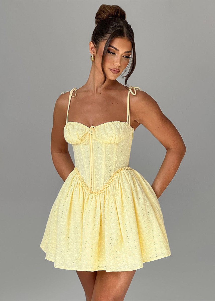 Eyelet Lace Corset Bustier Tie Strap Basque Waist Fit and Flare Mini Dress