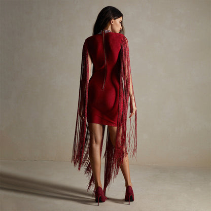 Red Tassel Sequ Party Slim Design Dress