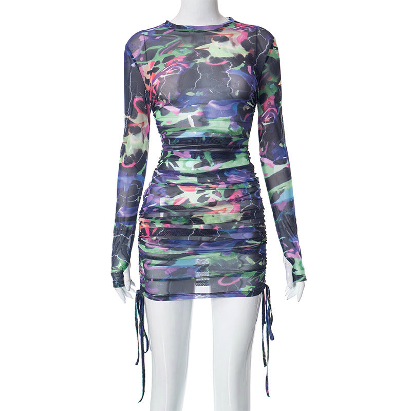 Mesh Printed Pleating Dress